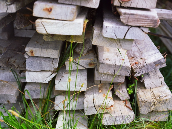 Old Wood Pile